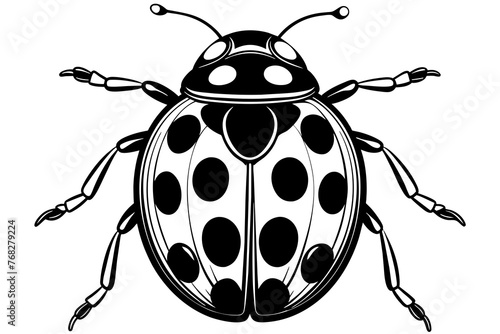 A realistic Ladybug  silhouette  vector art illustration © Moriom