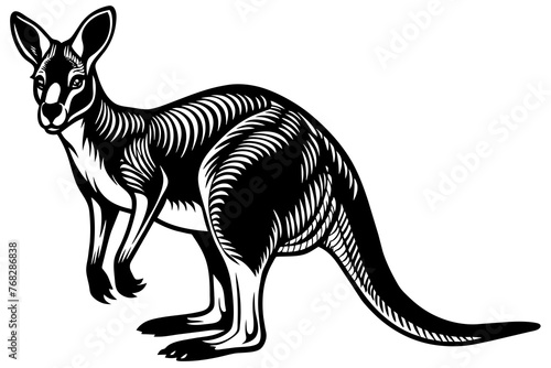 A realistic Kangaroo silhouette  vector art illustration