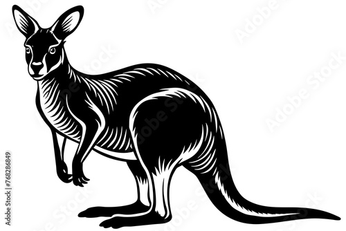 A realistic Kangaroo silhouette  vector art illustration photo