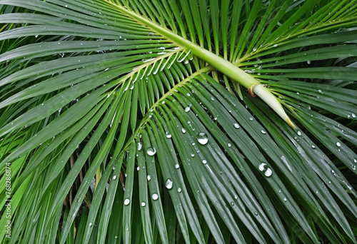 Tropical Palm Tree with Vibrant Green Leaves and Water Droplets Texture AI Generated