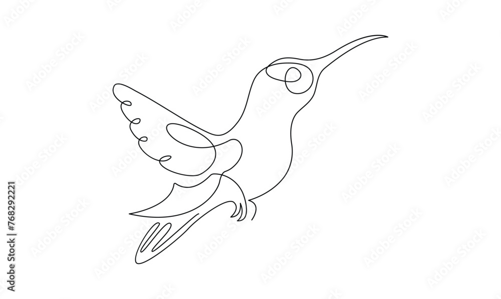 Fototapeta premium Vector continuous one simple abstract line drawing of humming bird isolated on a white background 