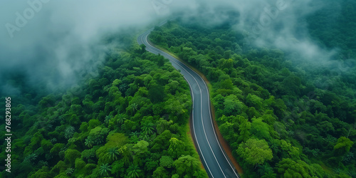 Aerial Curved Road through Forest  © rouda100