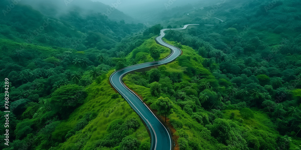 Aerial Curved Road through Forest Aerial Curved Road through Forest
