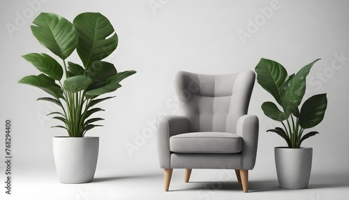 A gray modern armchair with wooden legs next to a large green potted plant with broad leaves against a white background. Black vintage armchair with metal legs next to a small red potted plant with th