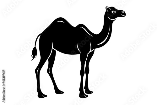 dromedary camel silhouette vector illustration