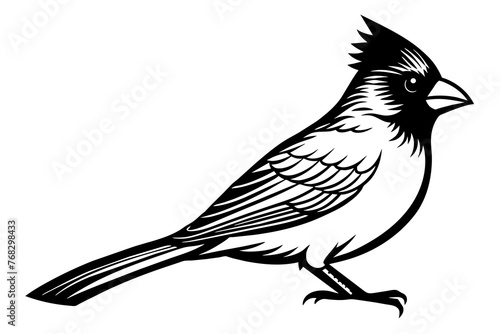cardinal silhouette vector illustration photo