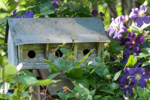 Triplex Bird House