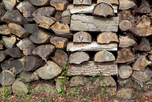 logging and storage of firewood