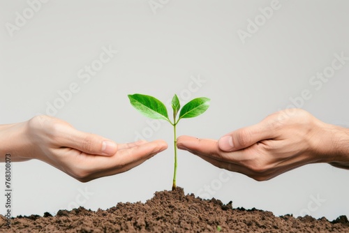 A close-up image showing a young plant being gently held and nurtured by human hands, symbolizing growth and care