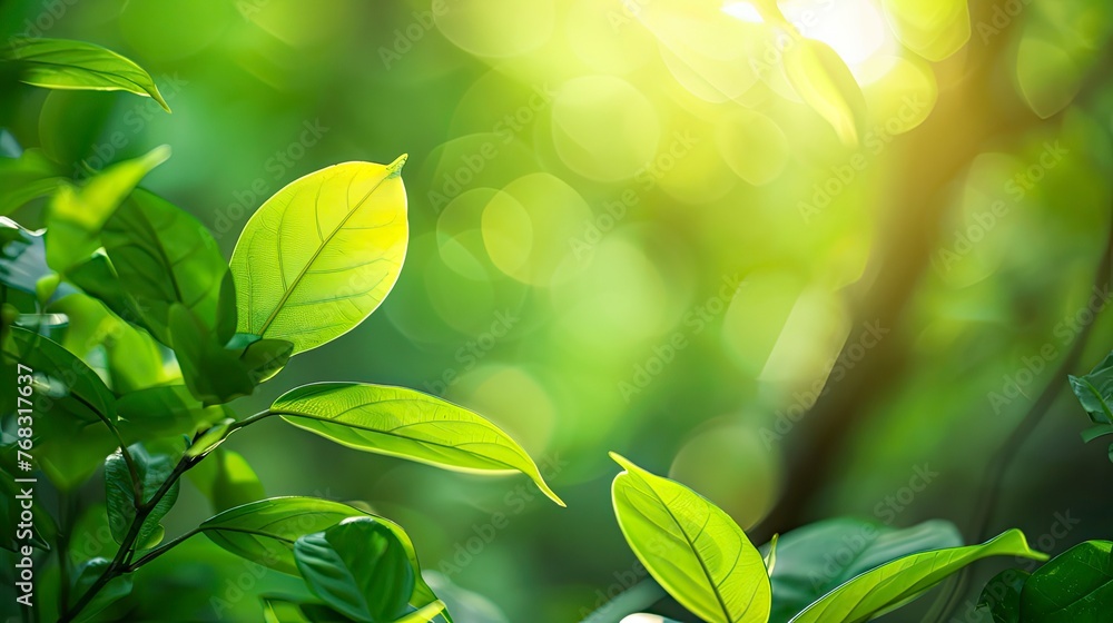 Nature of green leaf in garden at summer. Natural green leaves plants using as spring background cover page greenery environment ecology wallpaper - generative ai Nature of green leaf in garden at summer. Natural green leaves plants using as spring background cover page greenery environment ecology wallpaper - generative ai