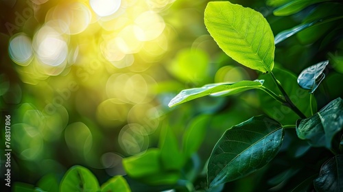 Nature of green leaf in garden at summer. Natural green leaves plants using as spring background cover page greenery environment ecology wallpaper - generative ai