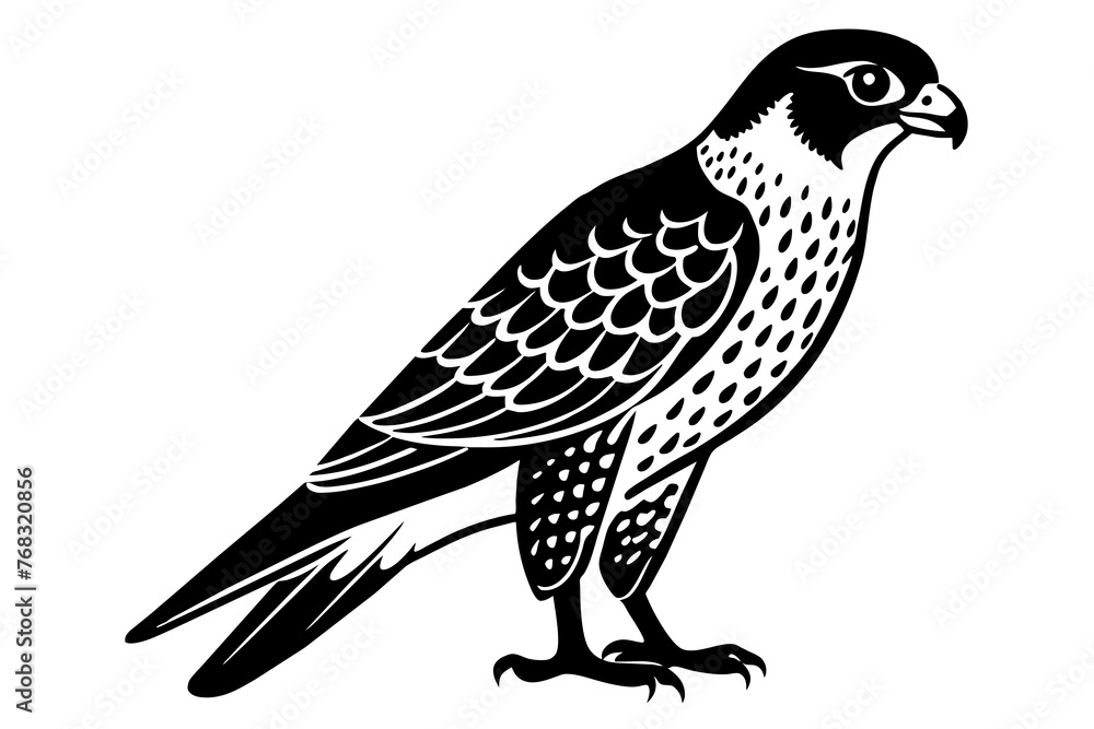 falcon silhouette vector illustration