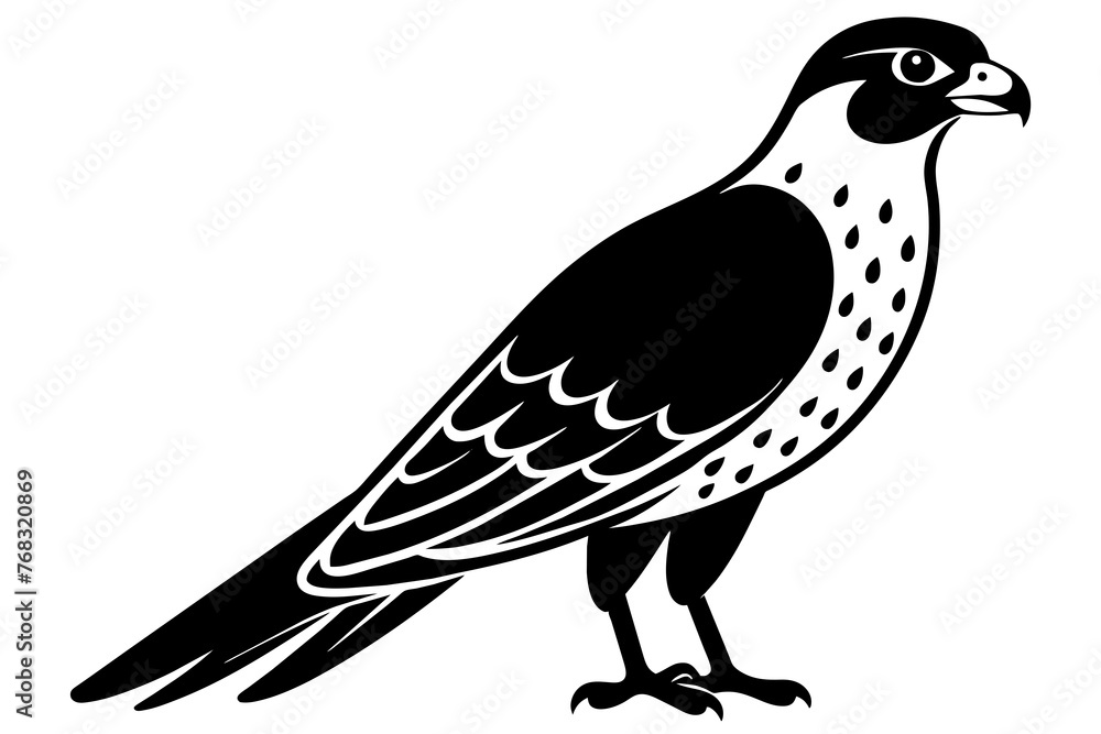 Fototapeta premium falcon silhouette vector illustration