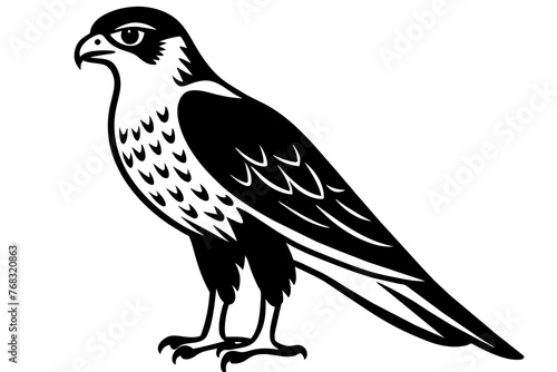 falcon silhouette vector illustration