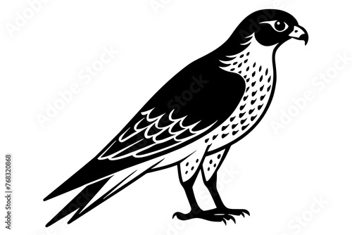 falcon silhouette vector illustration