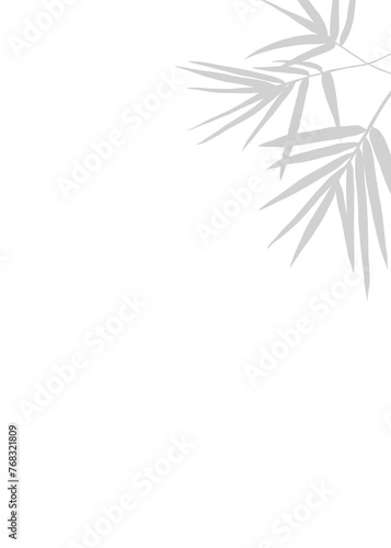 Abstract background with grey shadows leaf bamboo tree  and nature elements illustration depicting a tranquil garden scene.