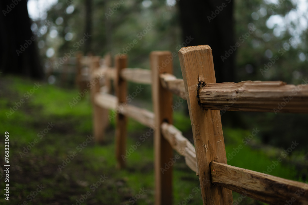 Fototapeta premium Closeup of a freshly built, rustic wooden fence in a forest. The unfinished wood is irregularly hewn and shows the natural details. Located in the Oakland hills in California.