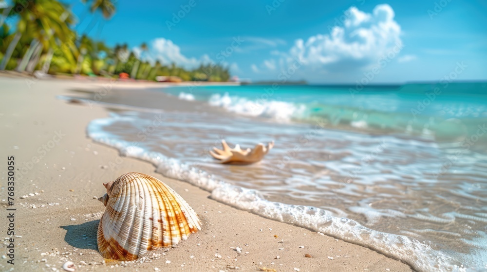 Tropical Beach Landscape with Seashells - Perfect for Summer Holiday Tropical Beach Landscape with Seashells - Perfect for Summer Holiday