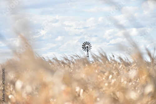 molino windmill