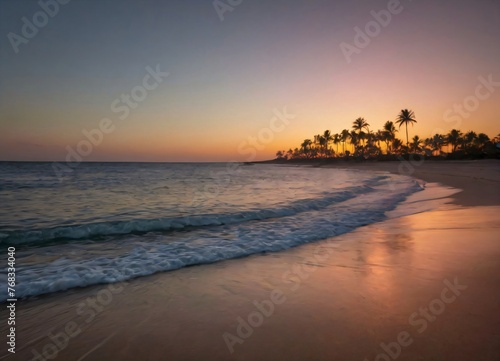 Sunset on the beach with palm trees, tropical © Brian