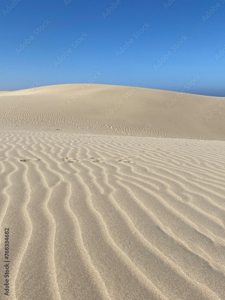 The dunes at pismo beach, California The dunes at pismo beach, California
