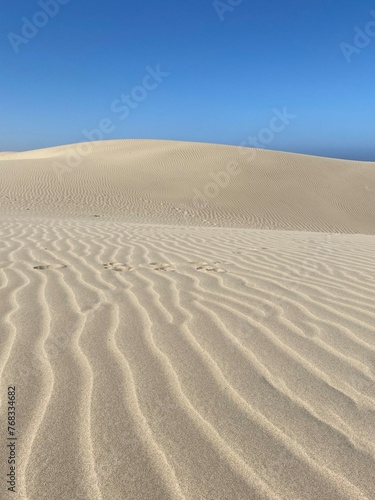 The dunes at pismo beach, California 