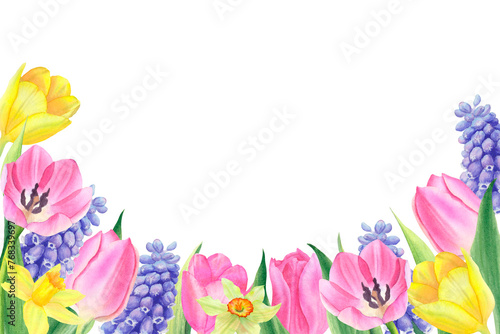 Banner of muscari, yellow and pink tulips, daffodils and leaves on a white background. Frame of spring flowers. Hand drawn watercolor botanical illustration. For design, cards, invitations, packaging