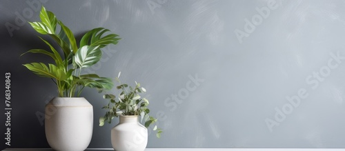 There are two houseplants in flowerpots on a table, one with green grass and the other with twigs, both placed in vases