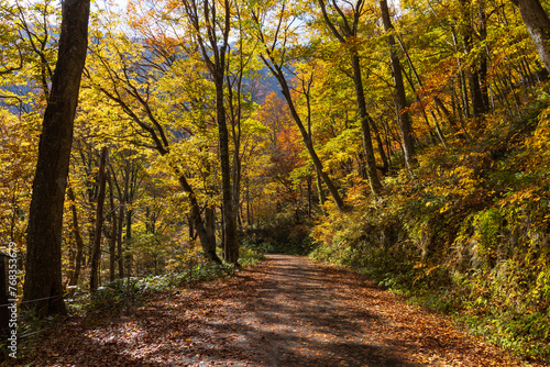 日本の風景・秋　紅葉の谷川岳　一ノ倉沢までのハイキングコース © Yuta1127