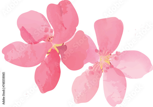 hand drawn style plum blossom