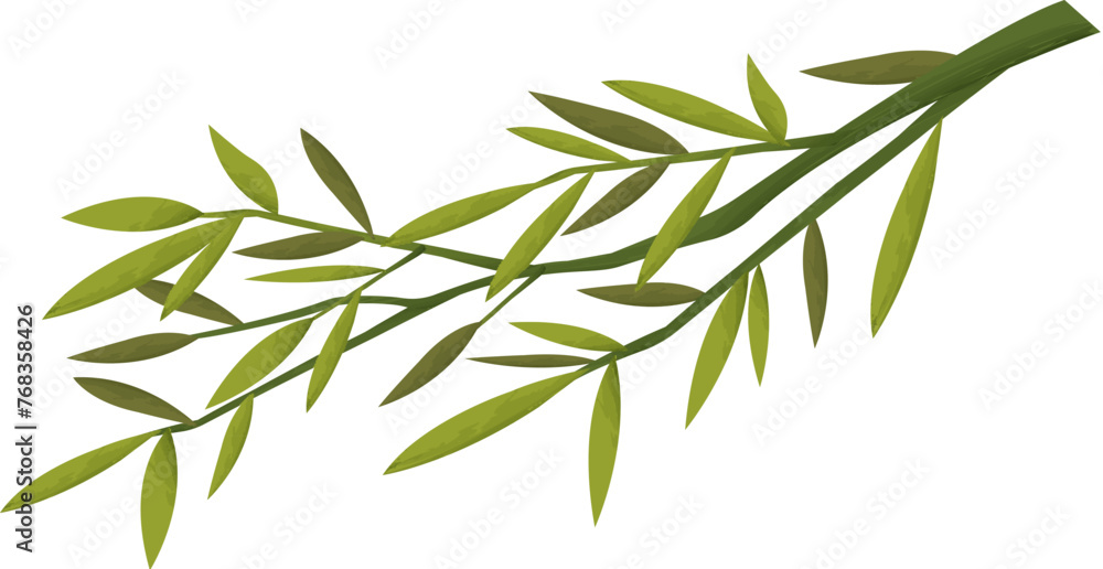 Green bamboo leaves Green bamboo leaves