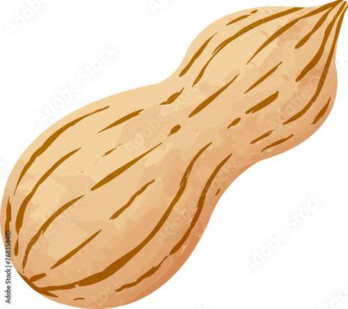 Doodle peanut