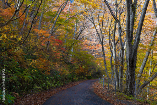 日本の風景・秋 紅葉の谷川岳 一ノ倉沢までのハイキングコース