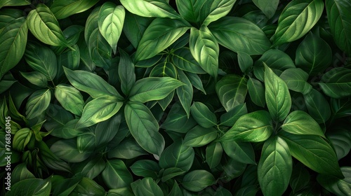 Tropical Green Leaves Texture with Dark Tone Abstract Nature Pattern Background © hisilly