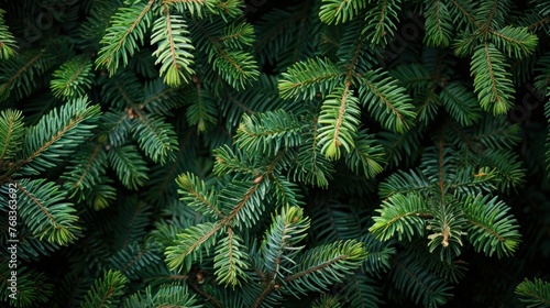 New Year s Nature Banner  Top View of Christmas Tree Branches for Festive Flat Lay