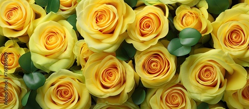 A colorful arrangement of yellow roses surrounded by vibrant green leaves in a lovely bouquet photo