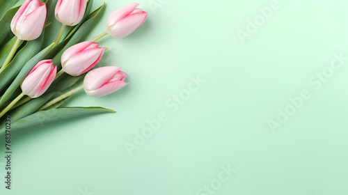 Tulips with copy space  spring flowers