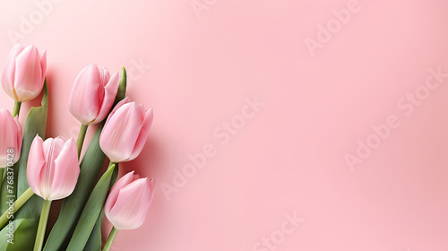 Tulips with copy space, spring flowers