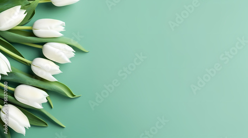 Tulips with copy space, spring flowers