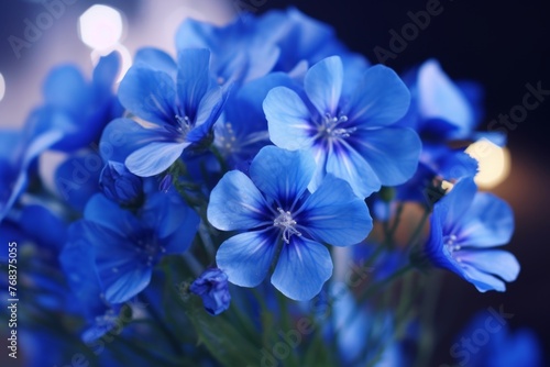Small Blue Wildflowers © Aida