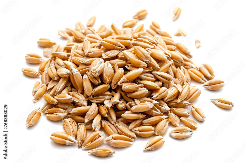 Obraz premium seeds background