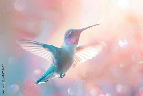 Hummingbird Hovering Mid-Air with Iridescent Feathers Glowing in the Sunlight © KirKam