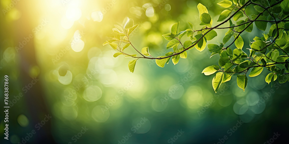blurry bokeh green forest trees and nature plant background of leaves and golden sunlight created with Generative AI Technology