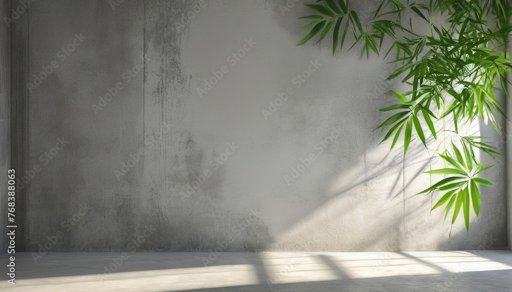 Fototapeta premium Studio Background: Bamboo Leaves Shadow on Grey Concrete Wall