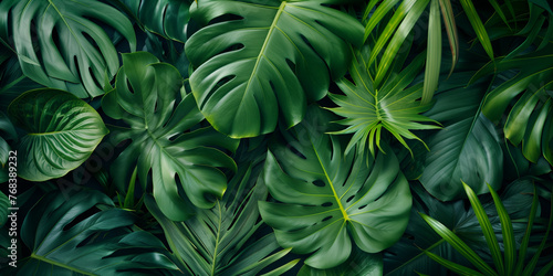 Tropical Leaf Background  © rouda100