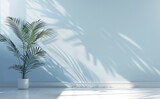 Abstract light blue background with a palm shadow on the wall, minimal studio room for product display