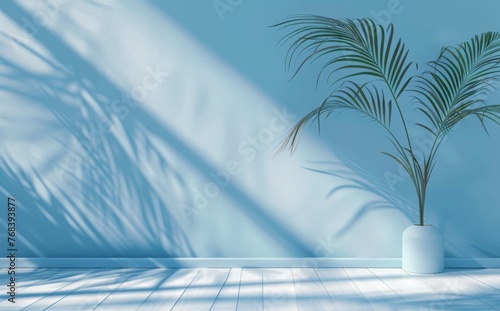 Abstract light blue background with a palm shadow on the wall, minimal studio room for product display © wanna