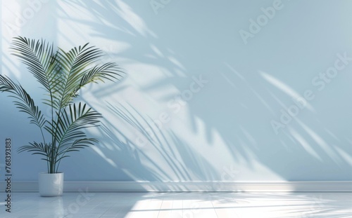 Abstract light blue background with a palm shadow on the wall, minimal studio room for product display © wanna
