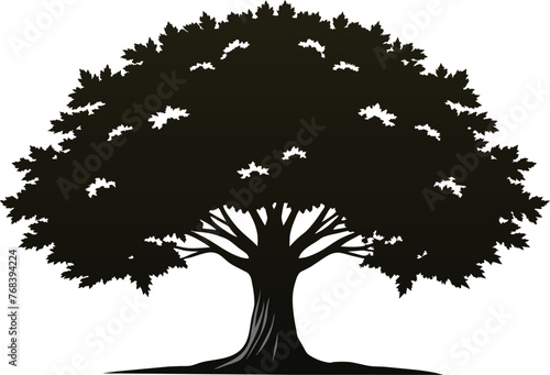 chestnut-tree-silhouette-black-on-white-background vector.eps