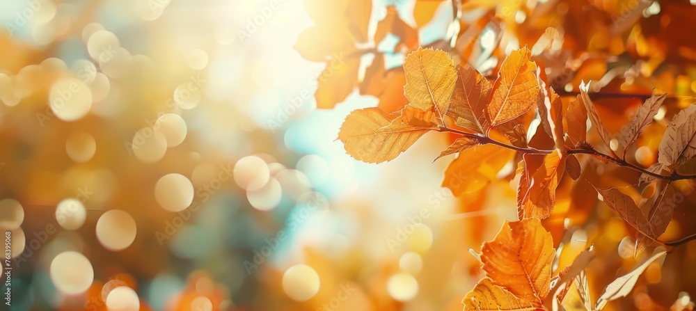 Autumn background with blurred bokeh of autumn leaves on tree branch in park Autumn background with blurred bokeh of autumn leaves on tree branch in park